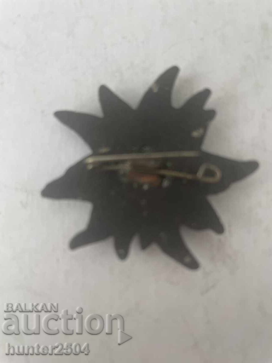 Σήμα Edelweiss-3 cm, χάλκινο με τιμή 9.95 BGN | € 5.09 Σήμα Edelweiss-3 cm, χάλκινο με τιμή 9.95 BGN | € 5.09