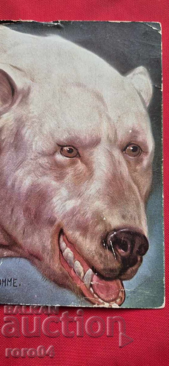 ΚΑΡΤ ποστάλ - Α' Παγκόσμιος Πόλεμος / Β' Παγκόσμιος Πόλεμος με τιμή 5.55 BGN | € 2.84