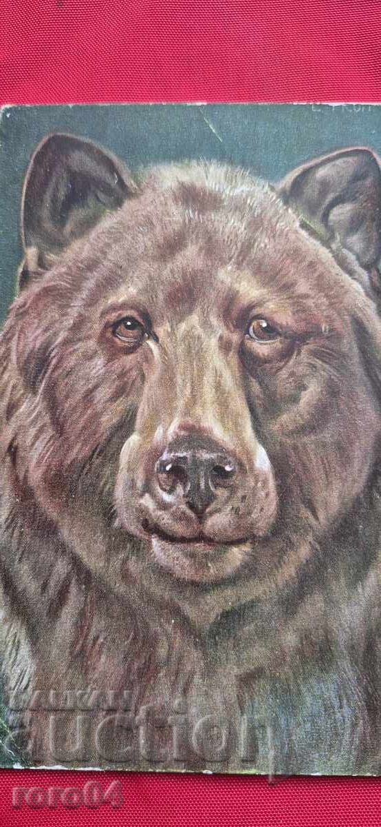 POSTCARD - WWI / WWII with price 5.55 BGN | € 2.84