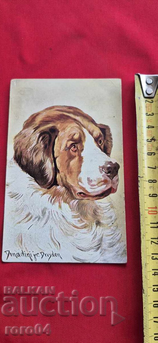 POSTCARD - WWI / WWII - 5