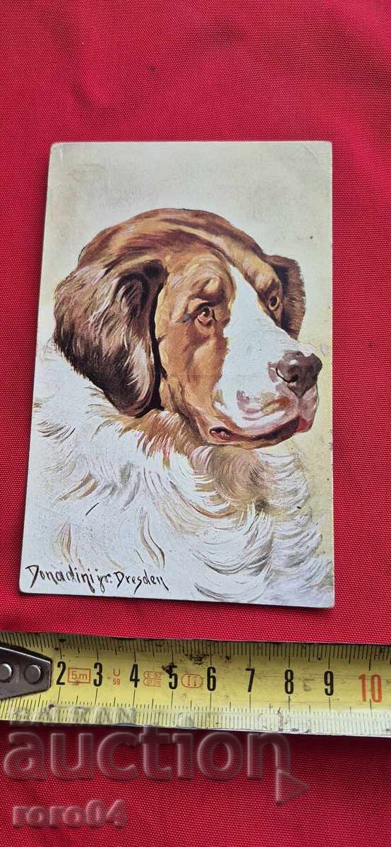 POSTCARD - WWI / WWII - 6