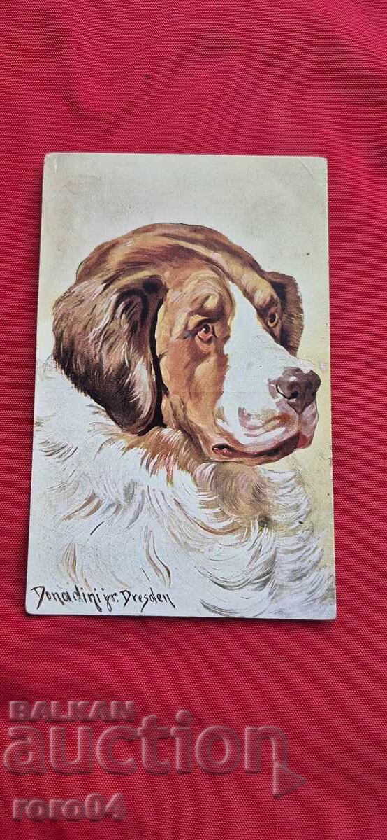 POSTCARD - WWI / WWII