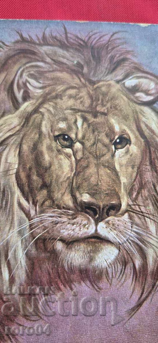 Auction  POSTCARD - WWI / WWII