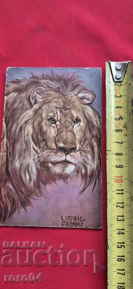 POSTCARD - WWI / WWII - 5