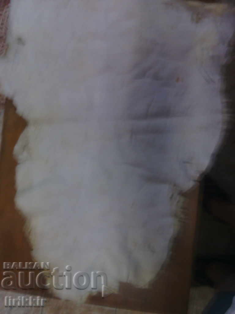 PIELE TRATATE DE OIE PIELE TRATATE DE OIE