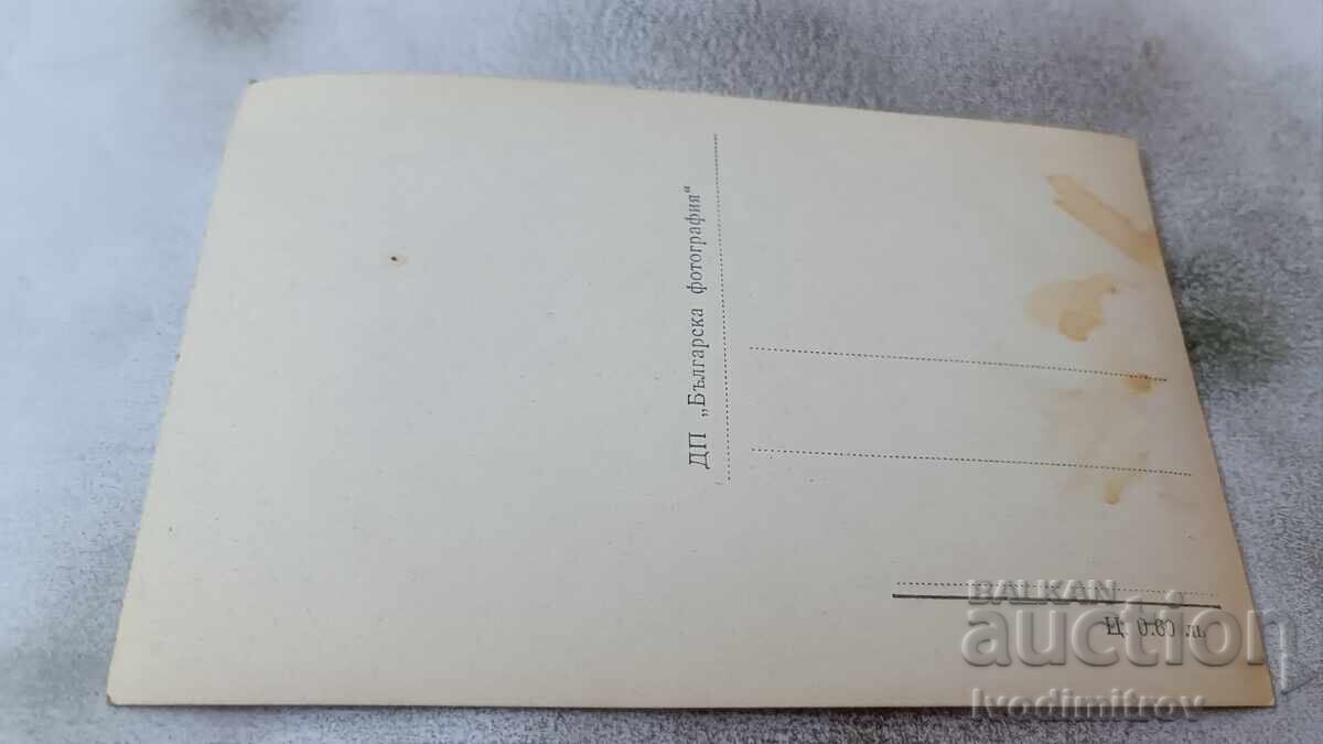 Καρτ ποστάλ Balchik Seashore κοντά στο παλάτι με τιμή 2.45 BGN | € 1.25 Καρτ ποστάλ Balchik Seashore κοντά στο παλάτι με τιμή 2.45 BGN | € 1.25