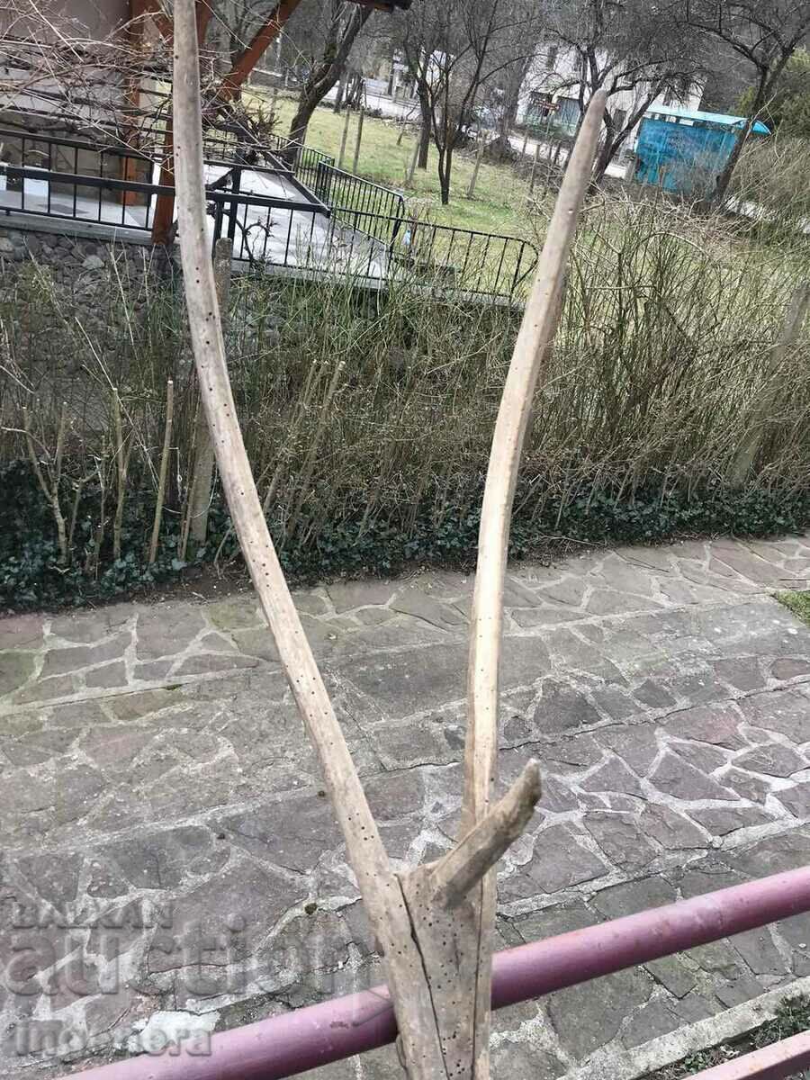 Παράδοση VILLA TRIROGA ΞΥΛΟ ΑΝΤΙΚΕ ΓΕΩΡΓΙΚΟ ΕΡΓΑΛΕΙΟ ΣΑΝΟΣ Παράδοση VILLA TRIROGA ΞΥΛΟ ΑΝΤΙΚΕ ΓΕΩΡΓΙΚΟ ΕΡΓΑΛΕΙΟ ΣΑΝΟΣ