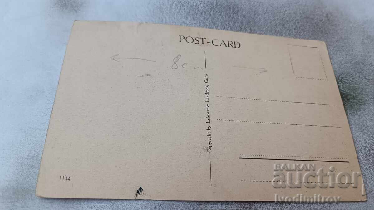 Cairo Egyptian Museum Postcard with price 3.65 BGN | € 1.87 Cairo Egyptian Museum Postcard with price 3.65 BGN | € 1.87