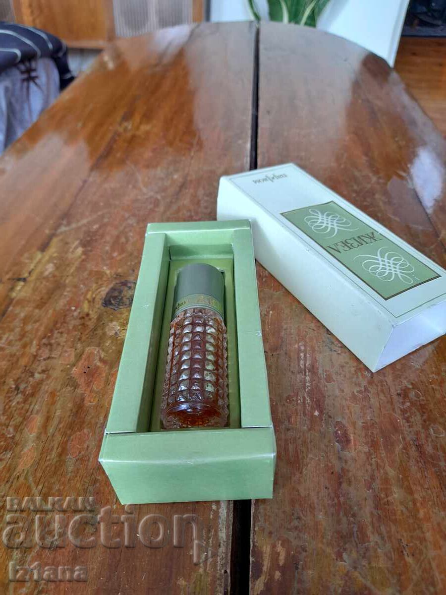 Licitație Giselle veche colonie Licitație Giselle veche colonie