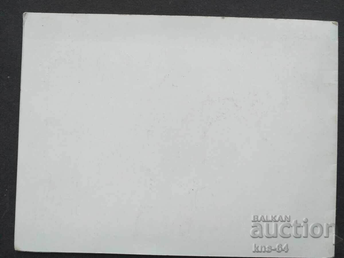 Delivery of Arab Double Delivery of Arab Double