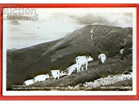 ΒΟΥΛΓΑΡΙΑ ΑΧΡΗΣΙΜΟΠΟΙΗΜΕΝΗ ΚΑΡΤΑ TETEVEN VEGEN KRAVARNAKA