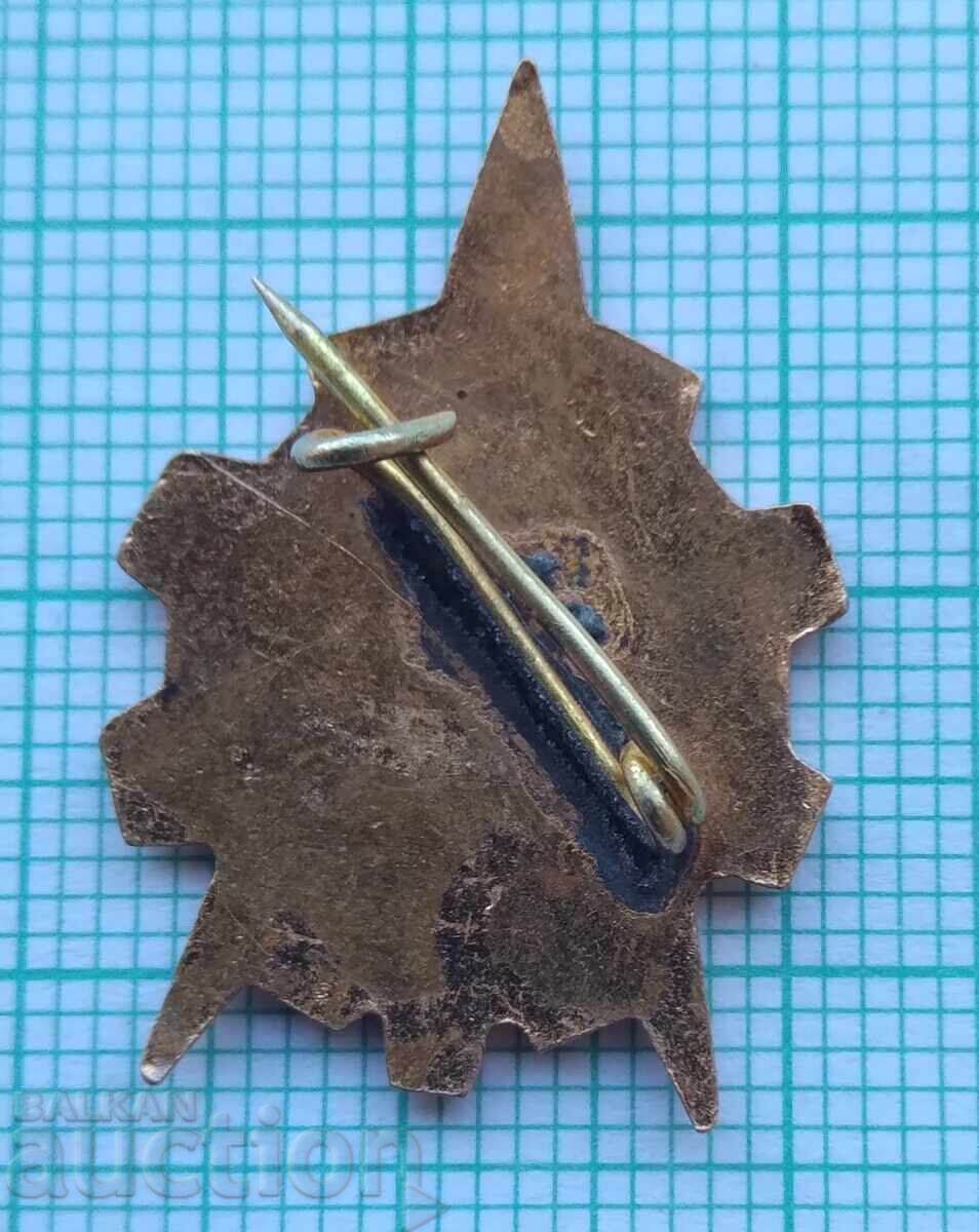 Auction  17705 Badge - Young Technician - bronze enamel