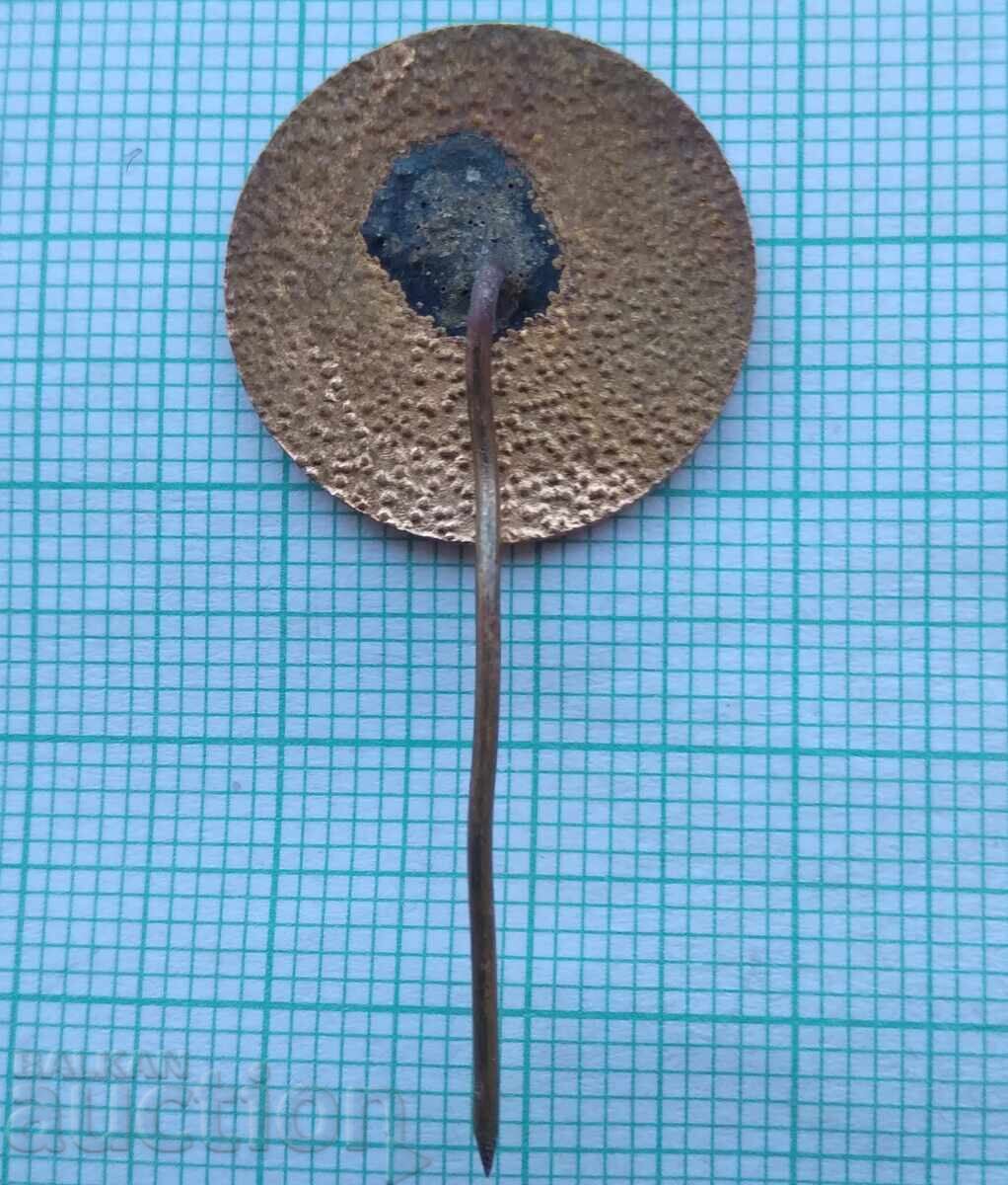 Auction 17706 Badge - Shipka Temple - bronze enamel Auction 17706 Badge - Shipka Temple - bronze enamel