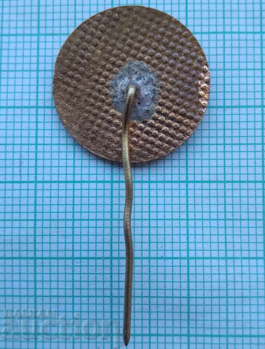 Auction 17707 Badge - Shipka Temple - bronze enamel Auction 17707 Badge - Shipka Temple - bronze enamel