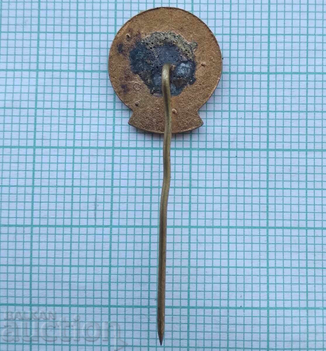 Auction 17709 Bulgarian Tourist Union BTS - bronze enamel Auction 17709 Bulgarian Tourist Union BTS - bronze enamel