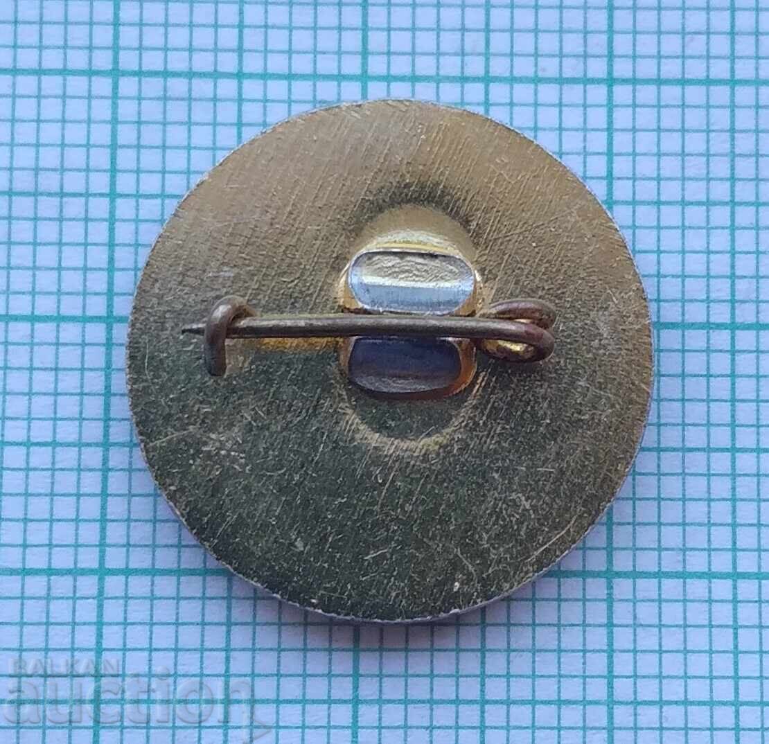 Auction  17716 Badge