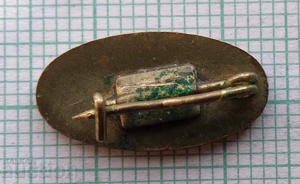 Auction 17752 Badge - Express Auction 17752 Badge - Express