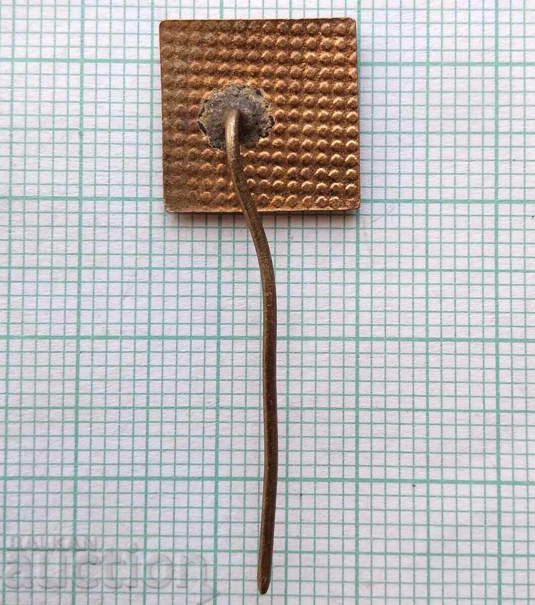 Auction 17758 Public Sports Instructor BSFS -bronze enamel Auction 17758 Public Sports Instructor BSFS -bronze enamel