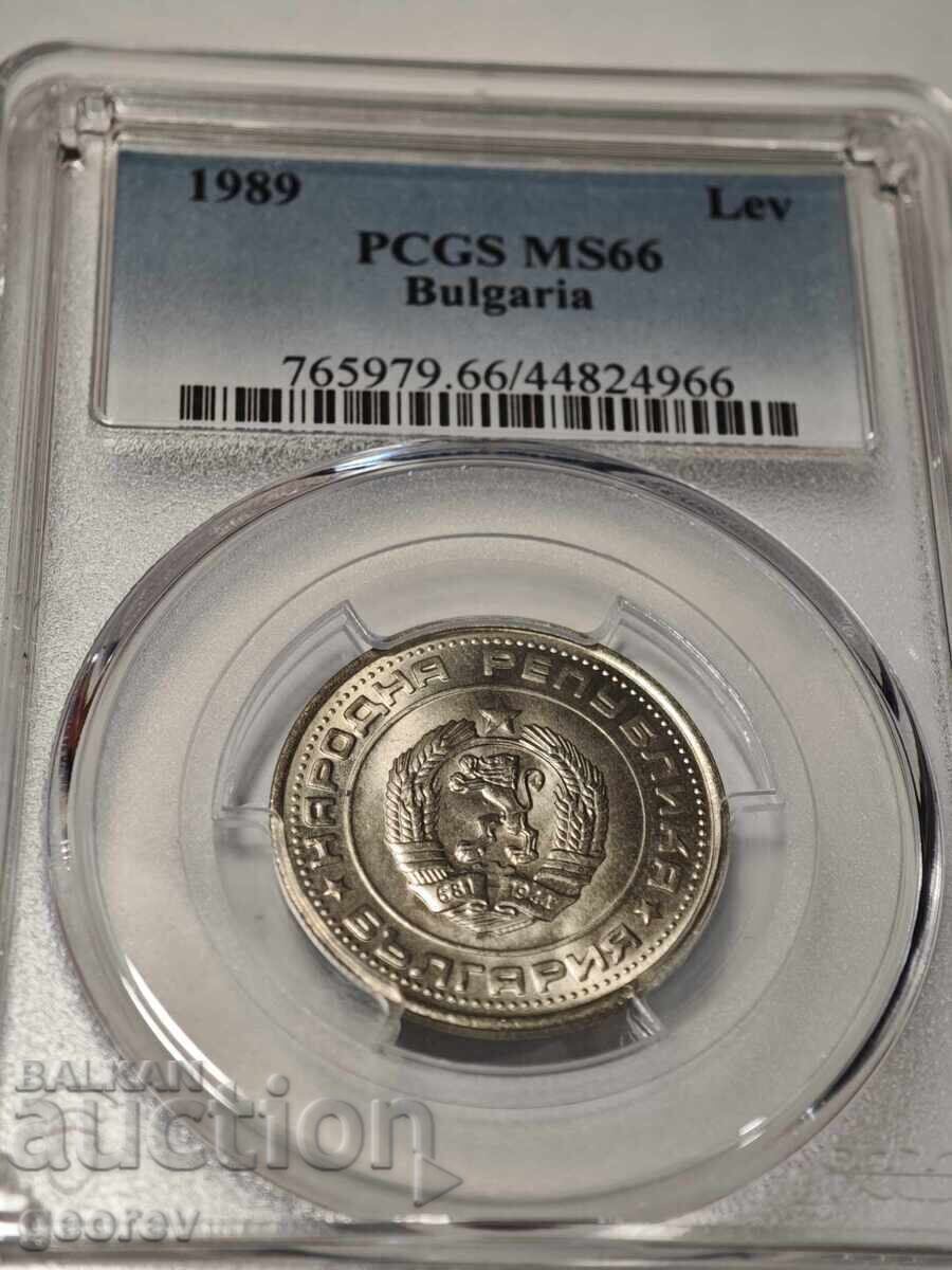 1 Lev 1989 MS66 1 Lev 1989 MS66