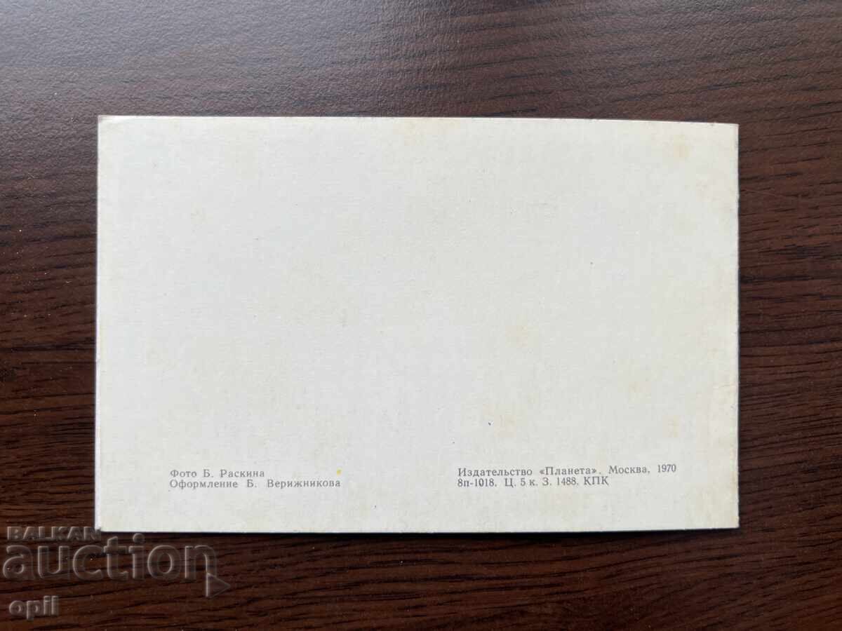 Auction Old Greeting Card - Happy New Year Auction Old Greeting Card - Happy New Year