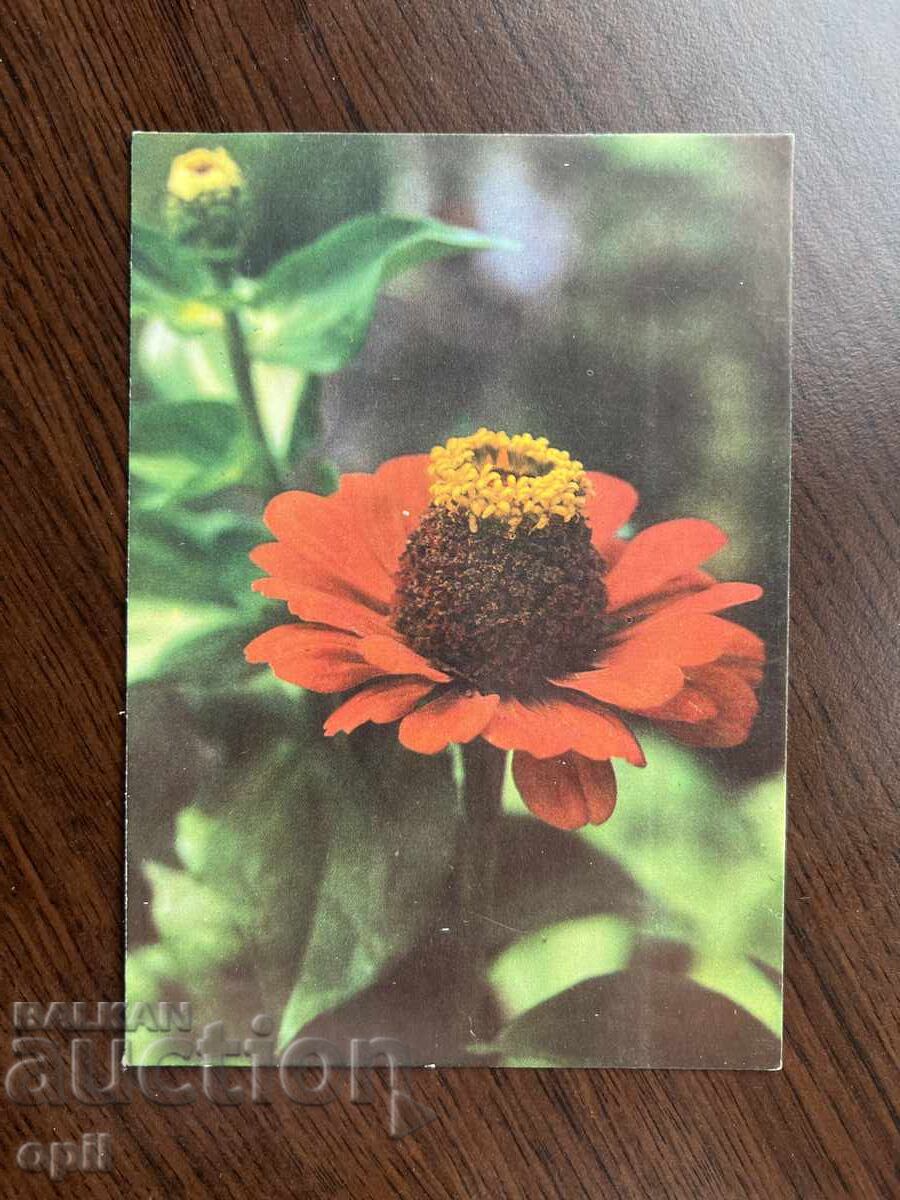 Old Greeting Card - Happy March 8th Old Greeting Card - Happy March 8th