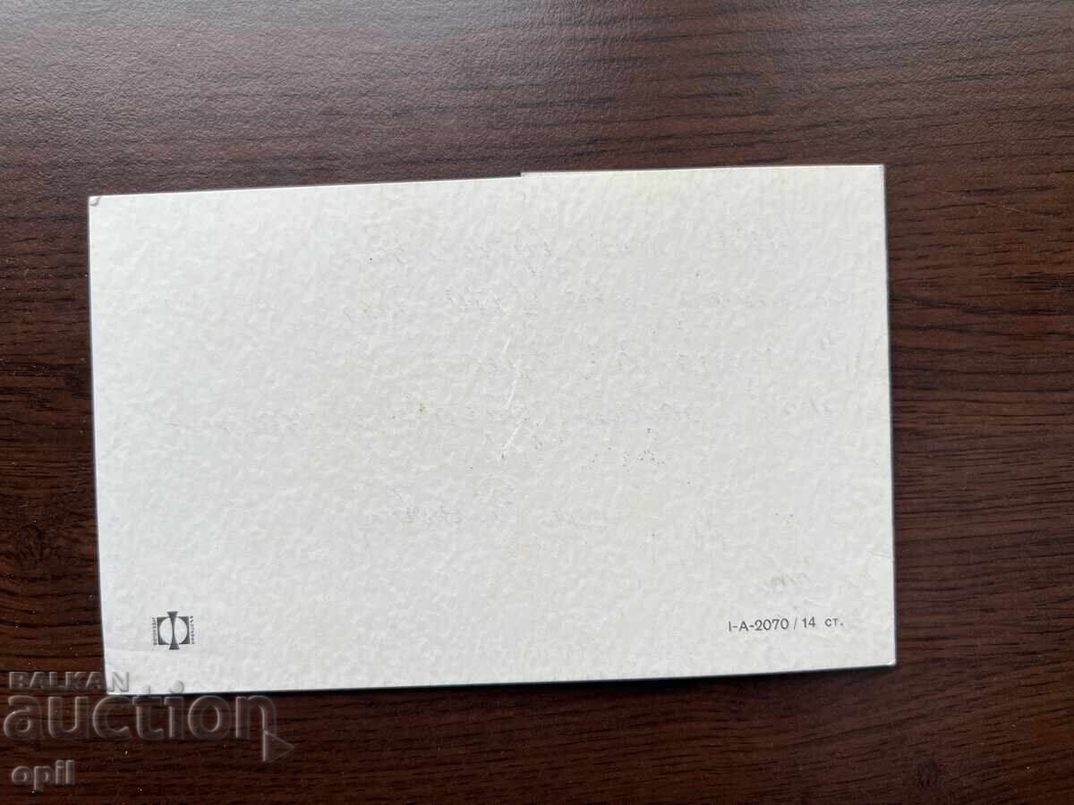 Auction  Old Greeting Card - Happy New Year