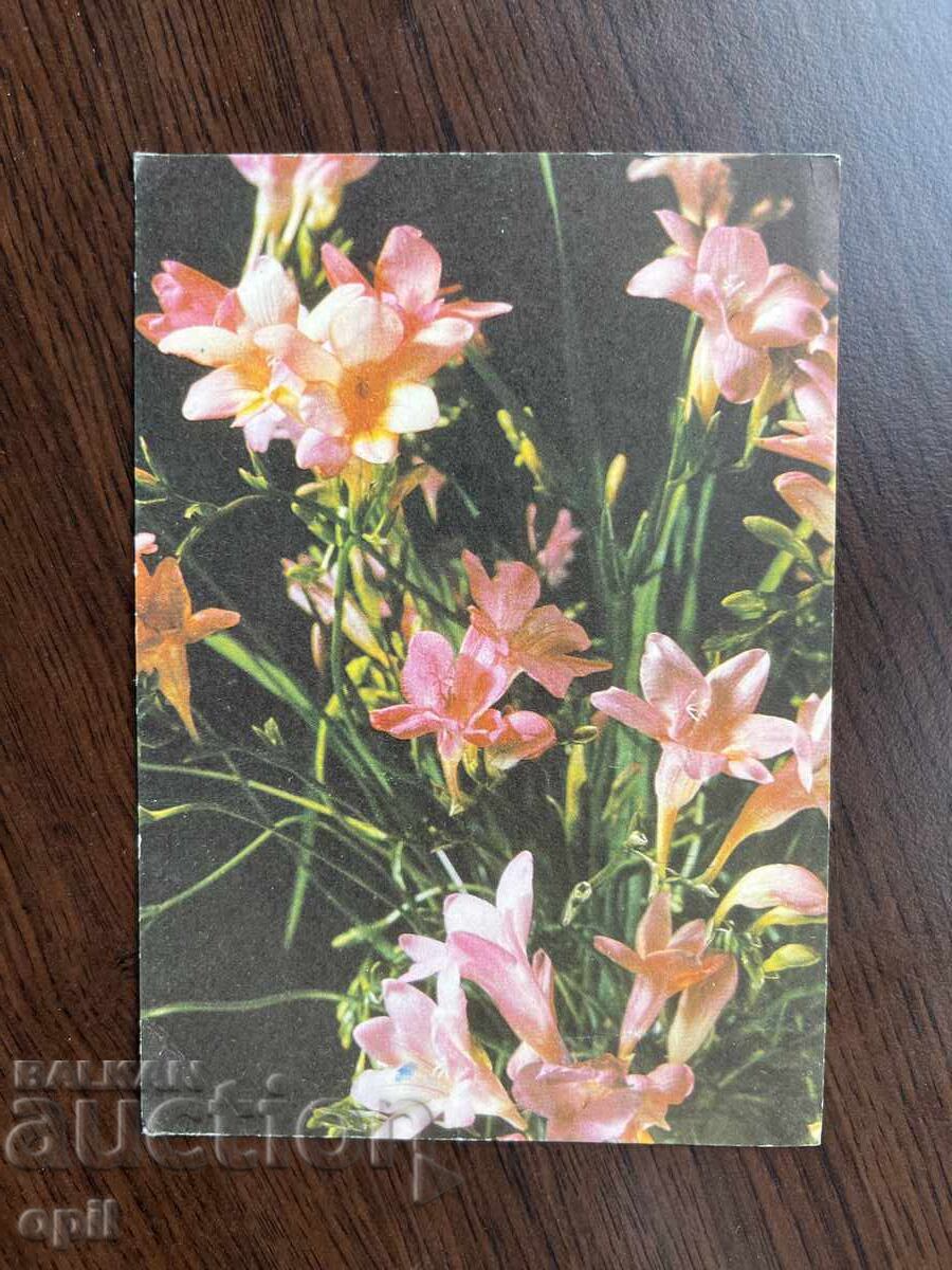 Old Greeting Card - Happy Spring Old Greeting Card - Happy Spring