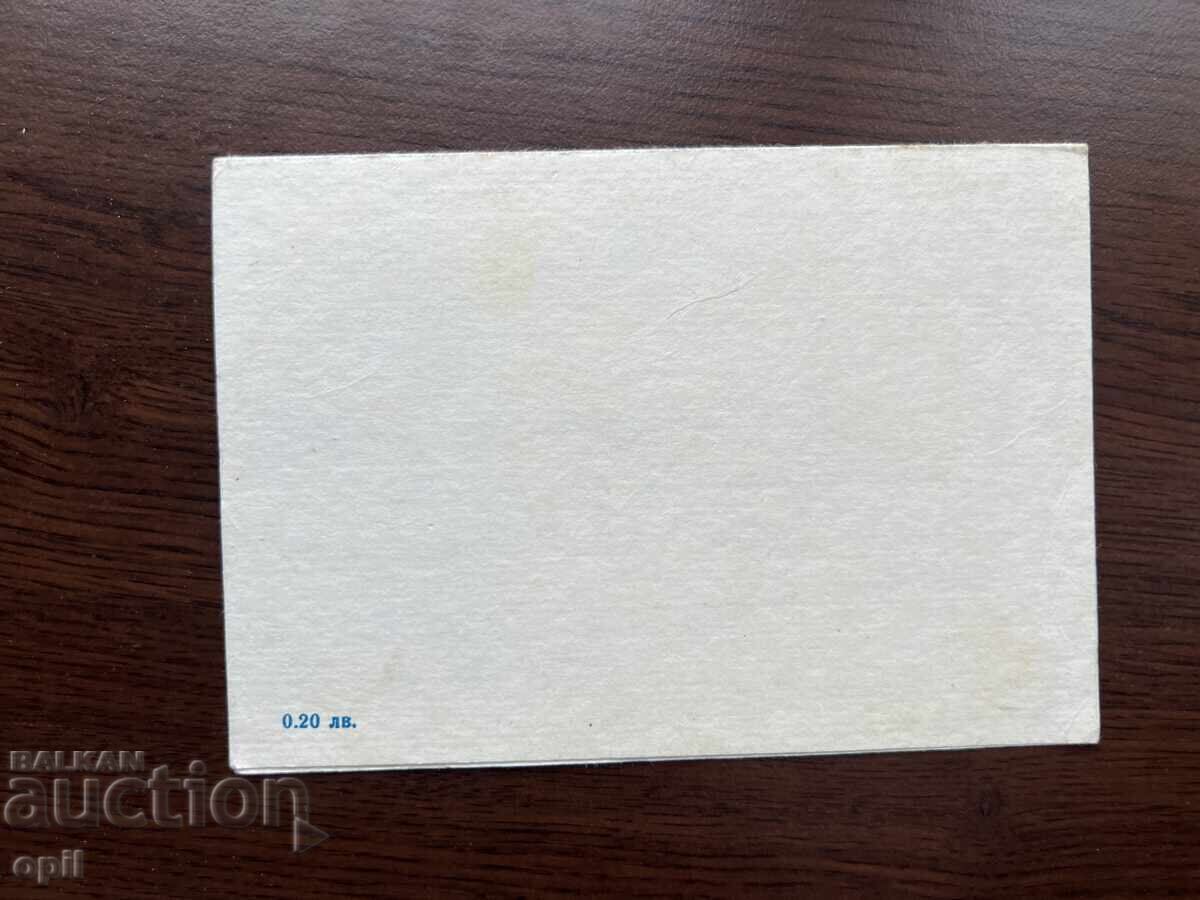 Auction  Old Greeting Card - Happy New Year