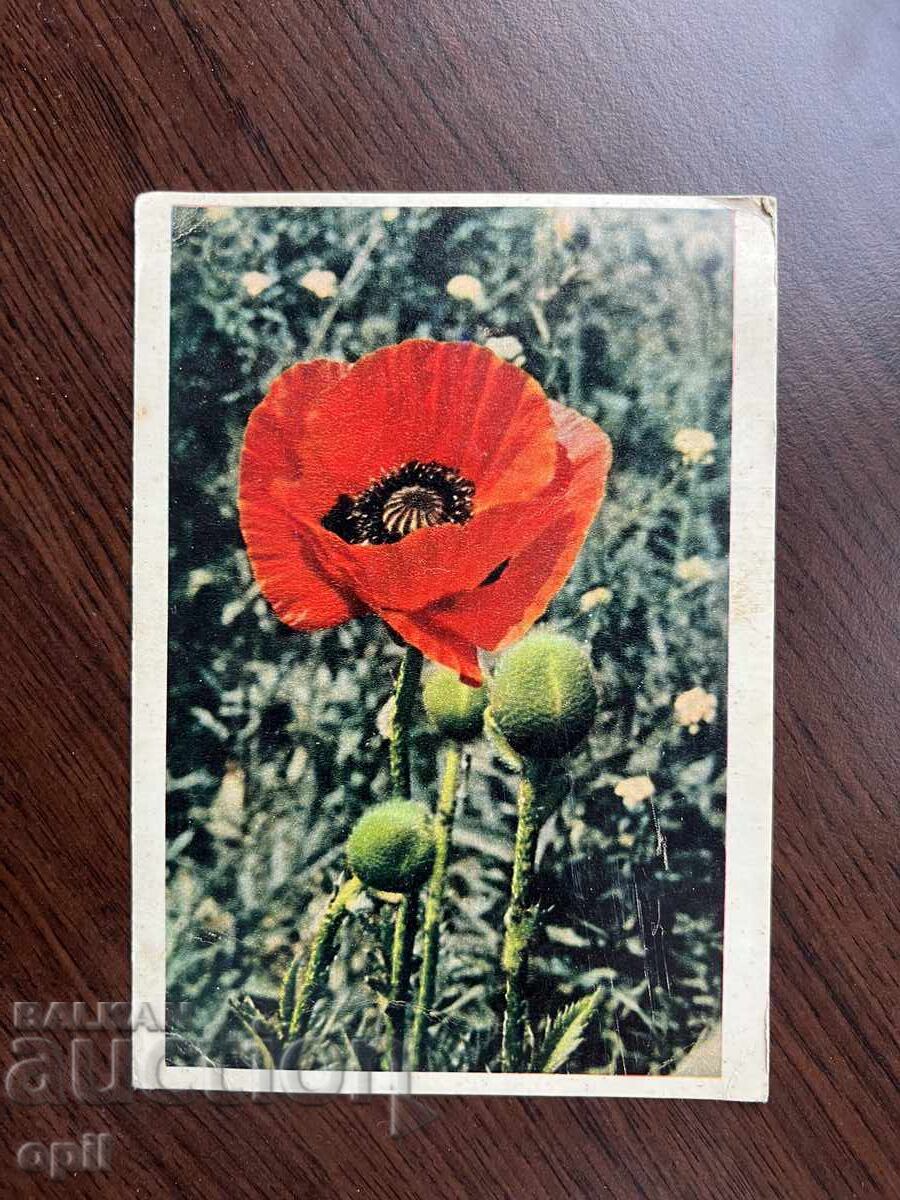 Παλιά ευχετήρια κάρτα Παλιά ευχετήρια κάρτα