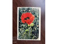 Παλιά ευχετήρια κάρτα