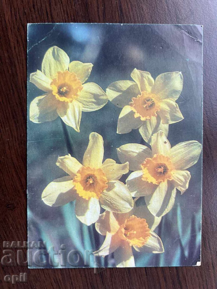 Old Greeting Card - Happy Spring Old Greeting Card - Happy Spring