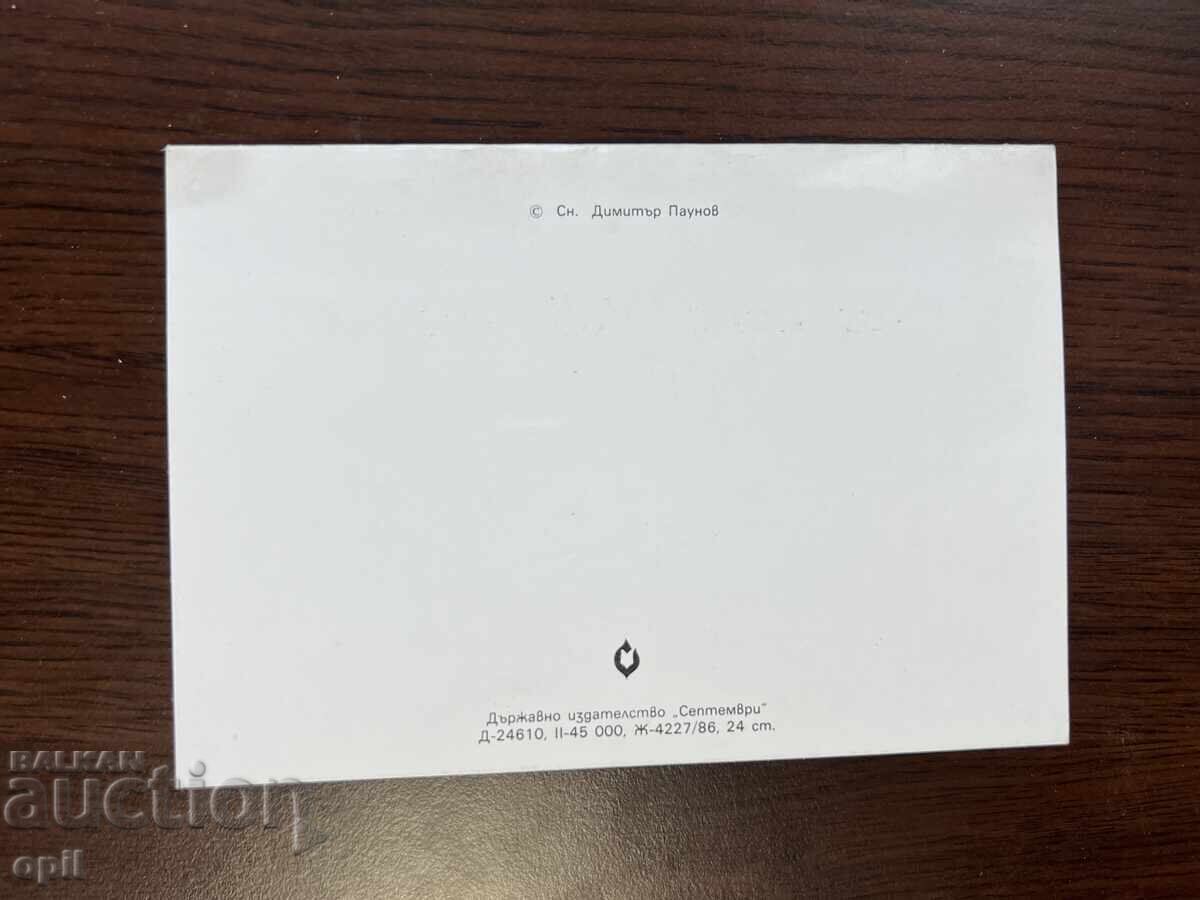 Auction Old Greeting Card - Happy New Year Auction Old Greeting Card - Happy New Year