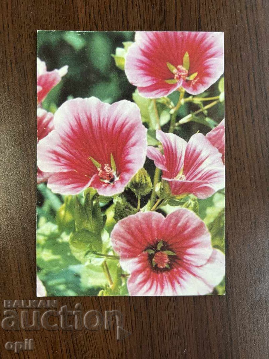 Παλιά Κάρτα-Συγχαρητήρια-Καλή Άνοιξη Παλιά Κάρτα-Συγχαρητήρια-Καλή Άνοιξη