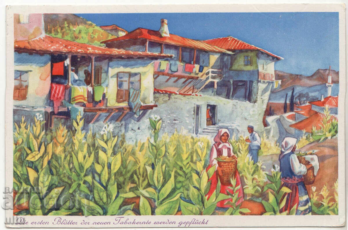 Bulgaria, 2 buc. Industria tutunului în anii 1940. cu preț 17.90 BGN | € 9.15 Bulgaria, 2 buc. Industria tutunului în anii 1940. cu preț 17.90 BGN | € 9.15