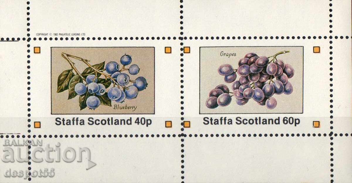 1982. Staffa, Scotland. Blueberries and grapes. Cinderella type