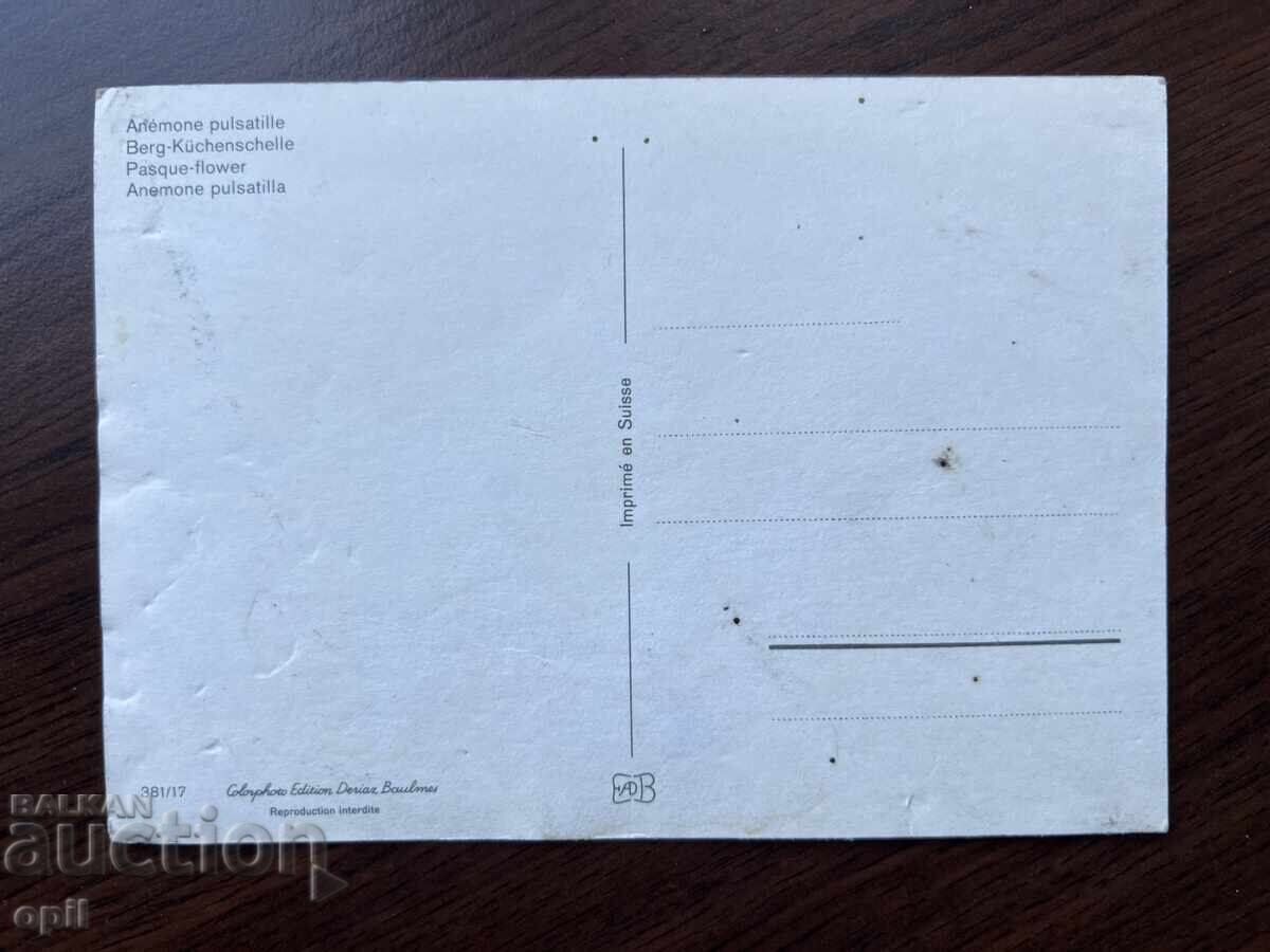 Old Card with price 0.10 BGN | € 0.05 Old Card with price 0.10 BGN | € 0.05