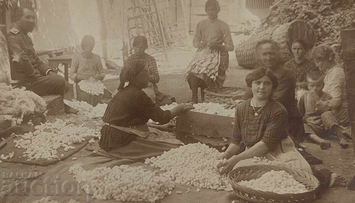 SILKWINDING OLD PHOTOGRAPHY KINGDOM OF BULGARIA with price 9.00 BGN | € 4.60 SILKWINDING OLD PHOTOGRAPHY KINGDOM OF BULGARIA with price 9.00 BGN | € 4.60