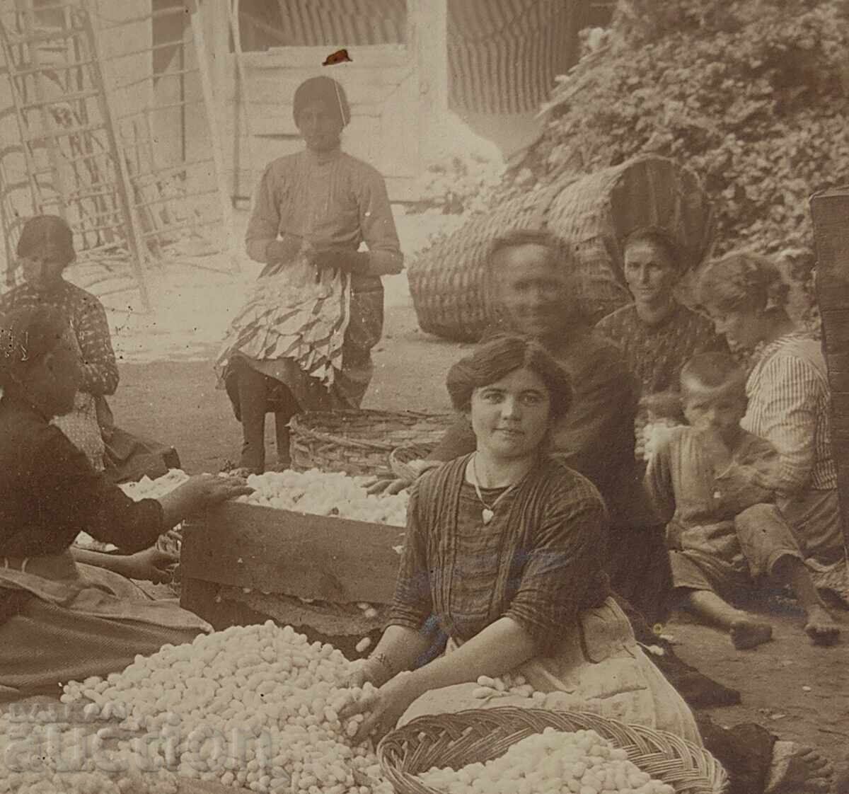 Auction SILKWINDING OLD PHOTOGRAPHY KINGDOM OF BULGARIA Auction SILKWINDING OLD PHOTOGRAPHY KINGDOM OF BULGARIA