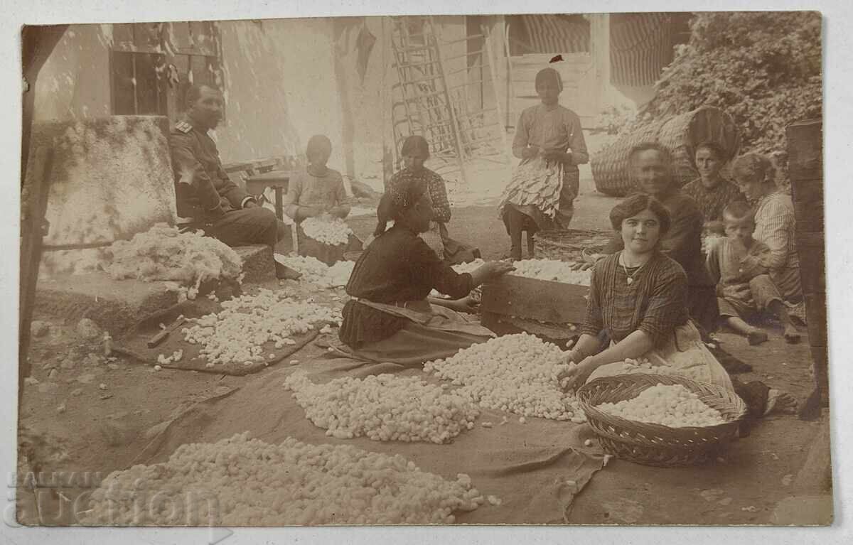 SILKWINDING OLD PHOTOGRAPHY KINGDOM OF BULGARIA SILKWINDING OLD PHOTOGRAPHY KINGDOM OF BULGARIA