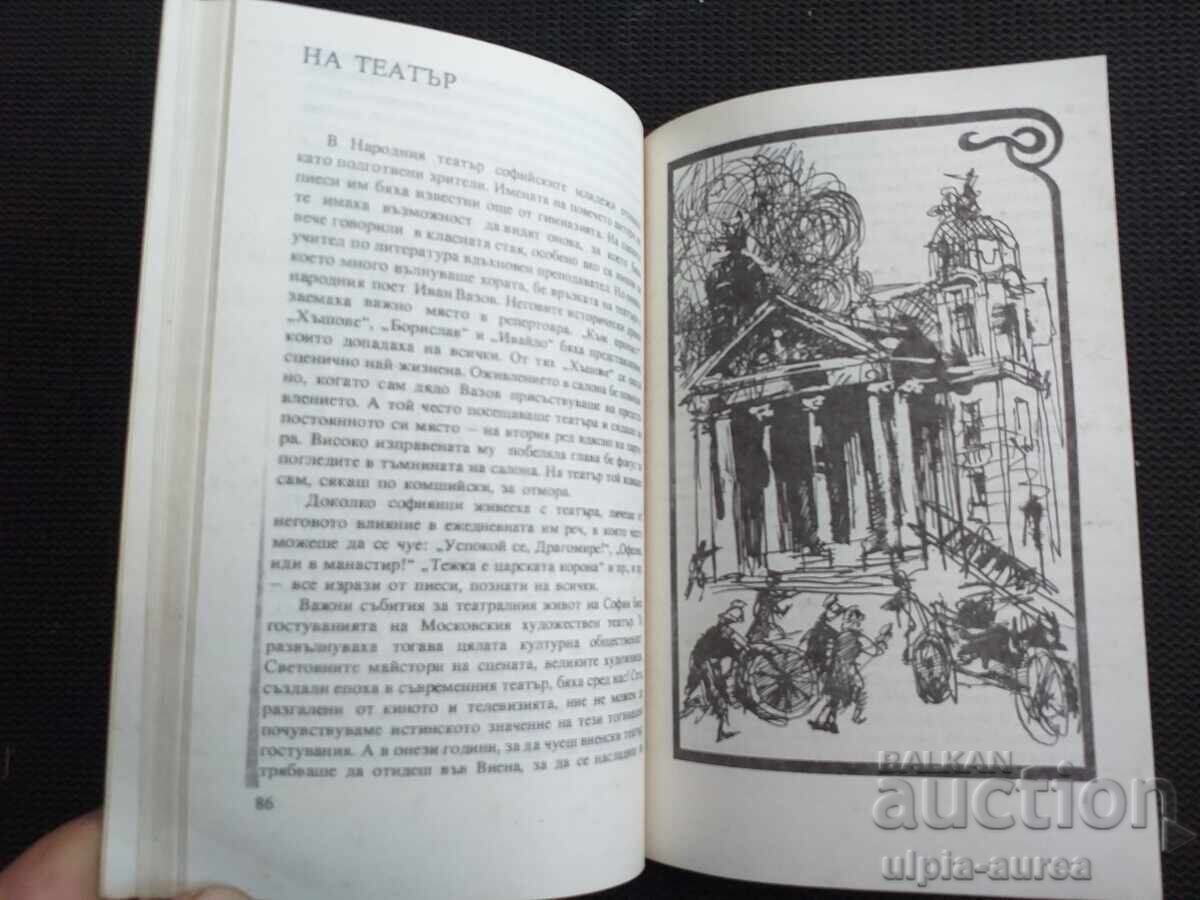 Licitație Sofia este tristă și fericită Licitație Sofia este tristă și fericită