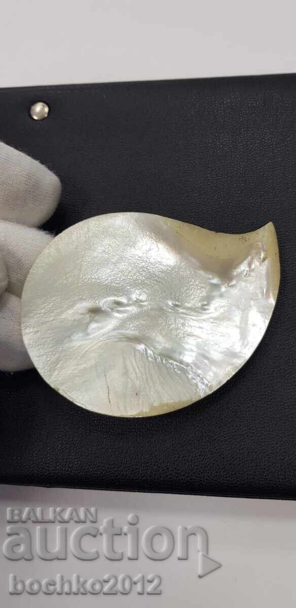 Renaissance engraved mother-of-pearl with a bird from the pafta - 19th century - 5 Renaissance engraved mother-of-pearl with a bird from the pafta - 19th century - 5