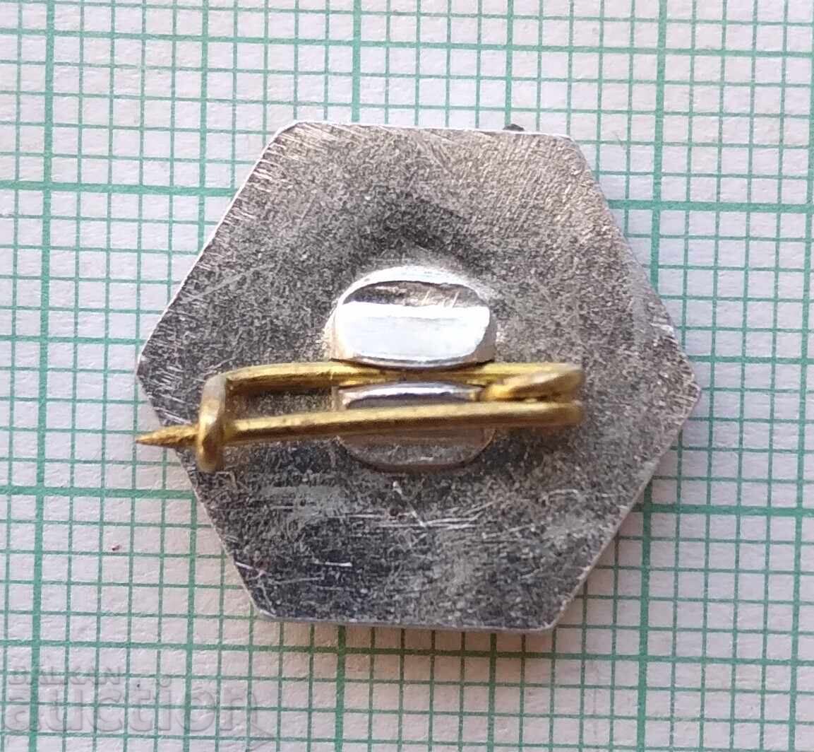 Licitație 17795 Insigna