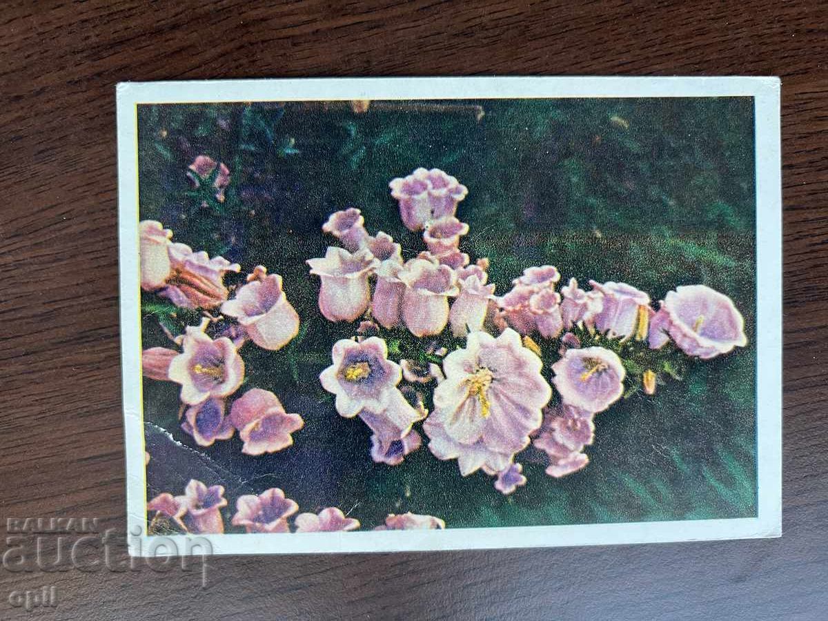 Felicitare veche Felicitare veche