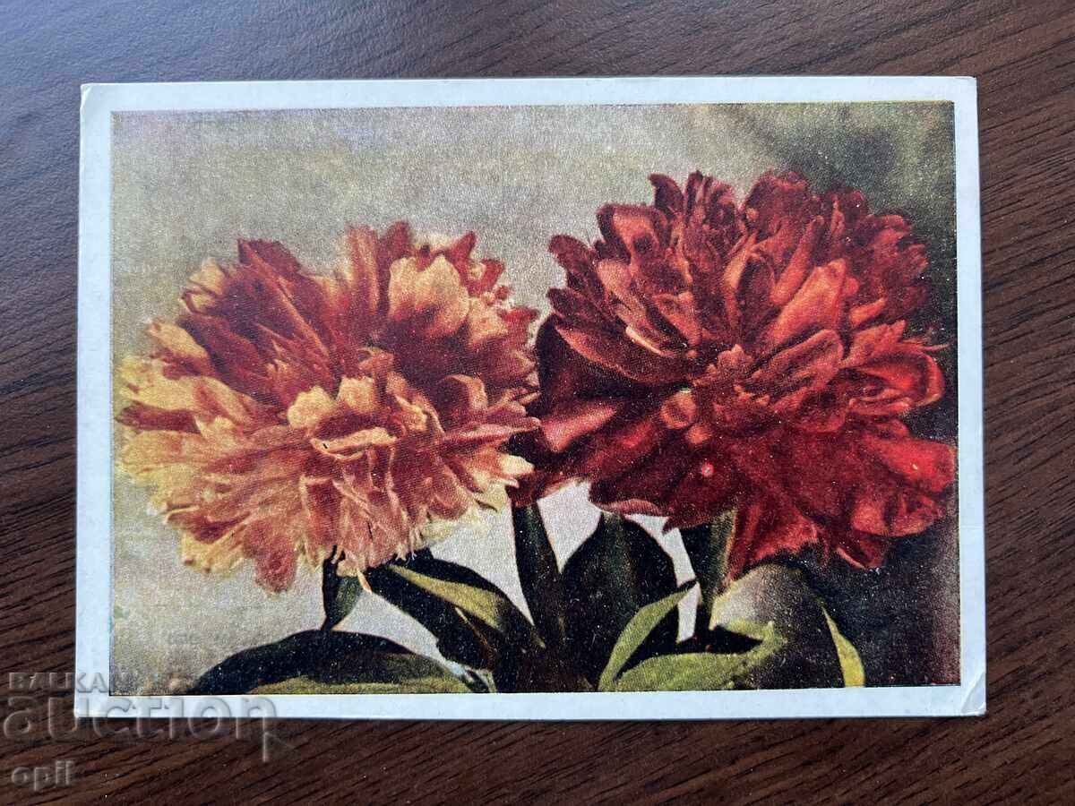 Felicitare veche Felicitare veche