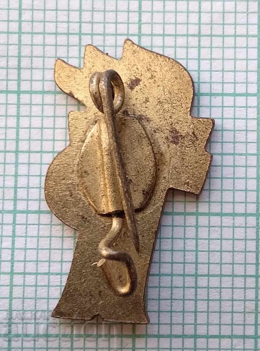 Auction 17805 GDR Thälmann pioneer, pioneer union Germany - enamel Auction 17805 GDR Thälmann pioneer, pioneer union Germany - enamel