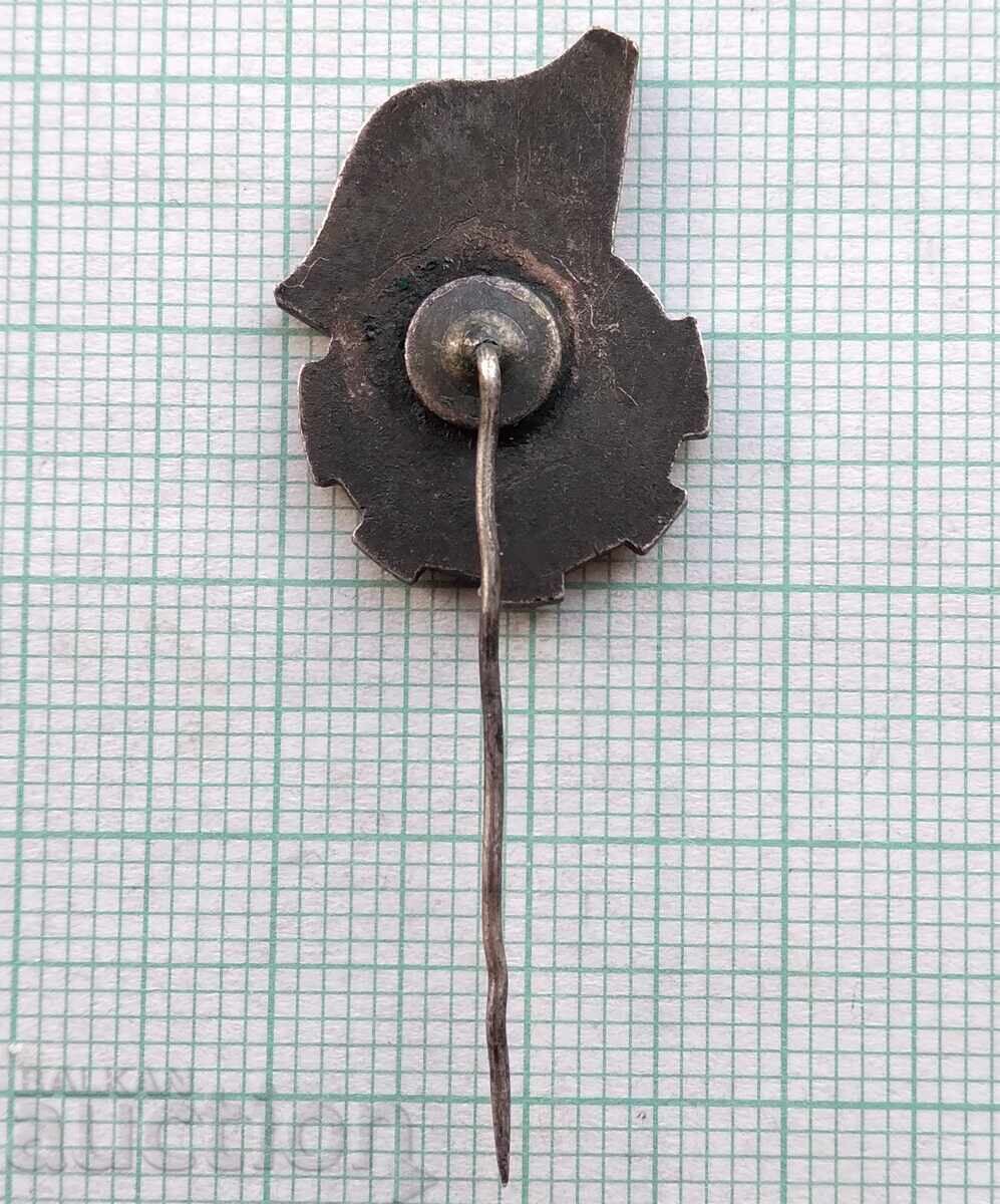 Аукцион 17816 Значка - ZZPGKPT Полша - емайл Аукцион 17816 Значка - ZZPGKPT Полша - емайл