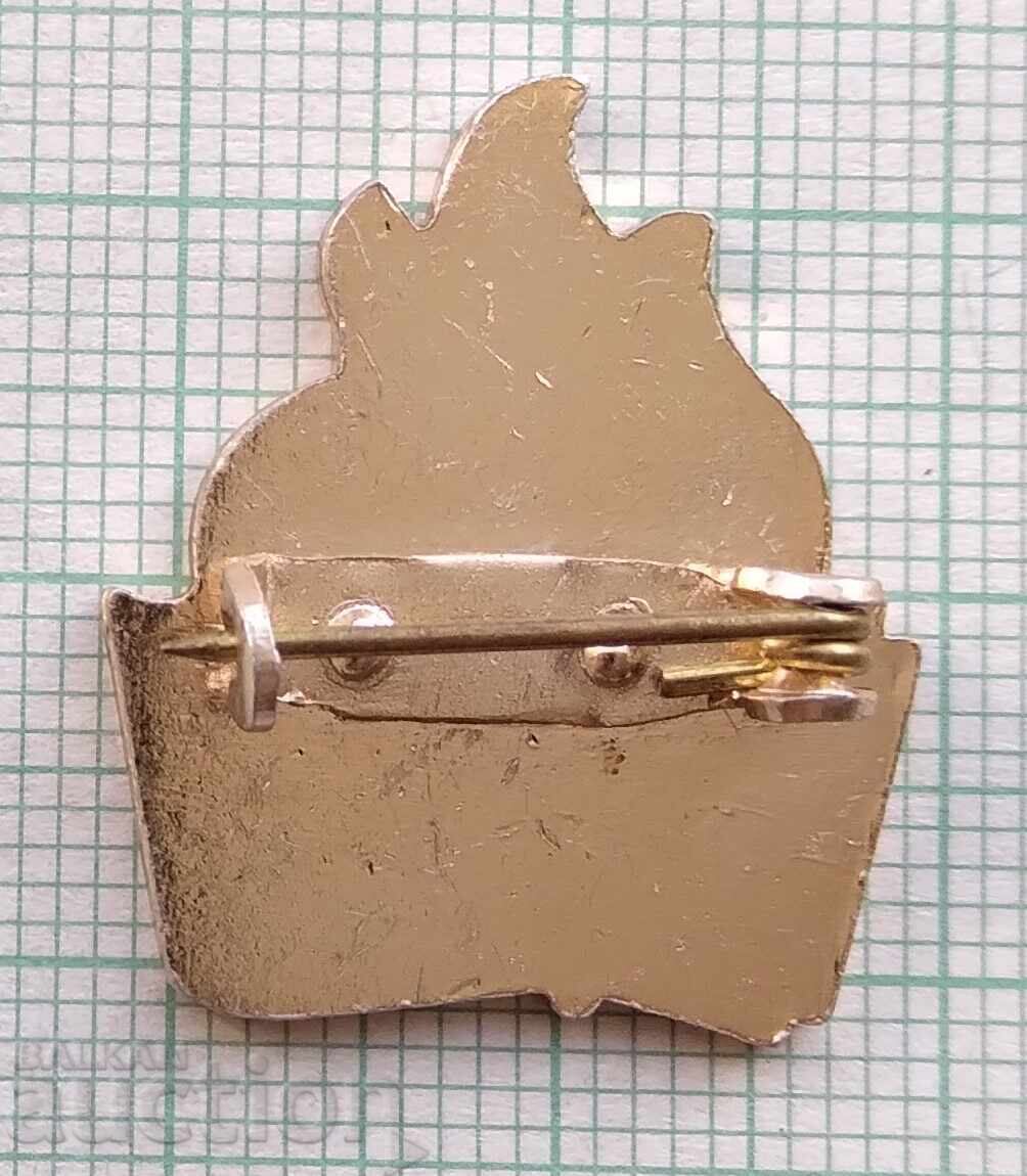 Licitație 17821 Insigna - Cehoslovacia Licitație 17821 Insigna - Cehoslovacia