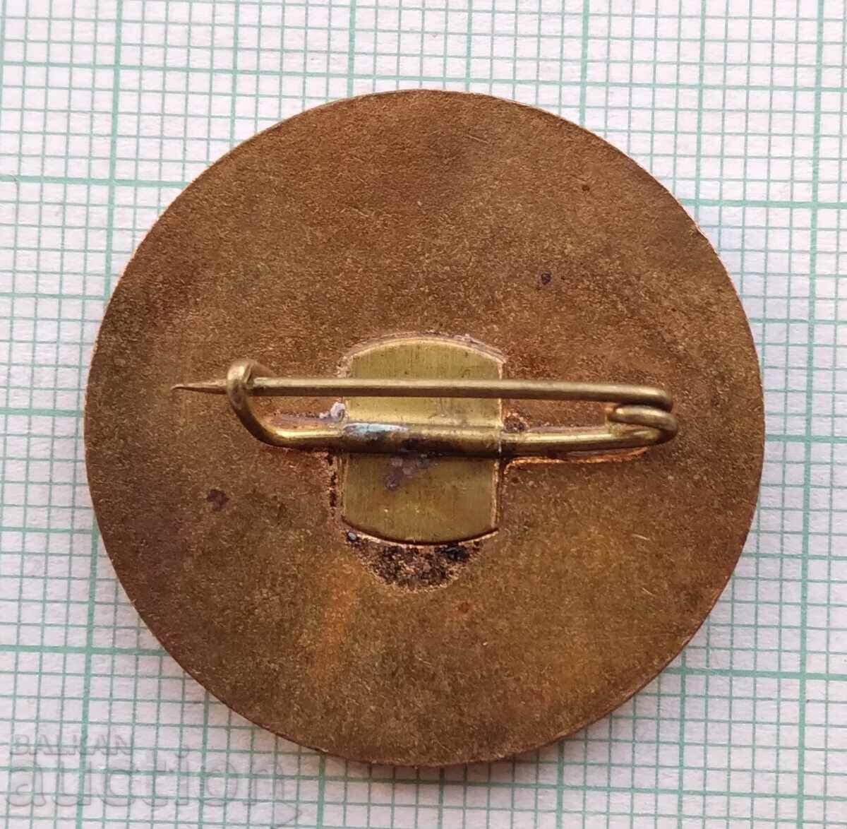 Auction 17830 International Cartographic Association Sofia 1976 - enamel Auction 17830 International Cartographic Association Sofia 1976 - enamel