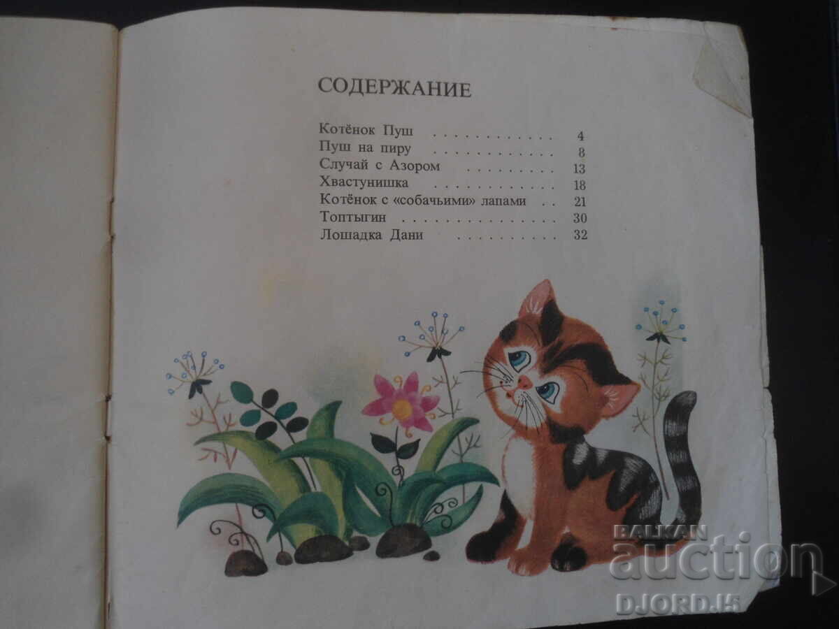 Σχετικά με το γατάκι Pusha και άλλα ζώα - 5 Σχετικά με το γατάκι Pusha και άλλα ζώα - 5