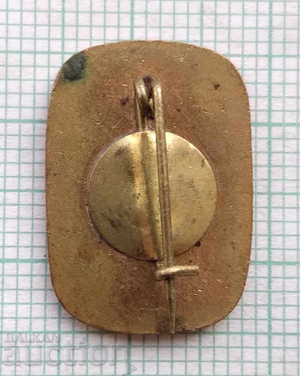 Licitație 17834 Insigna - Budapesta - email bronz